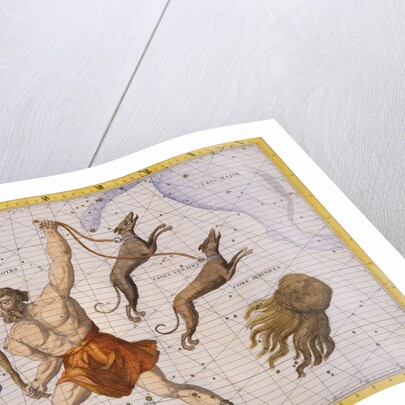 Constellation of Bootes by James Thornhill