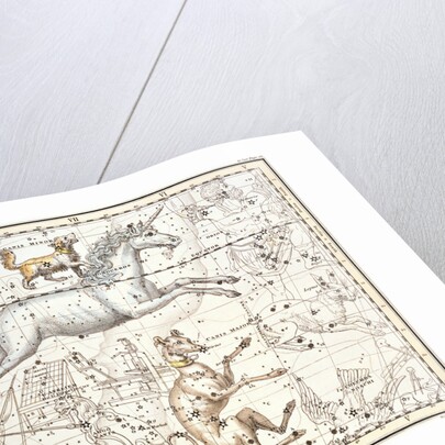 Constellations of Monoceros the Unicorn, Canis Major and Minor from A Celestial Atlas by Alexander Jamieson