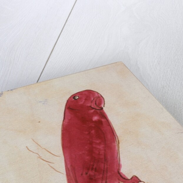 The Crimson Bird by Edward Lear