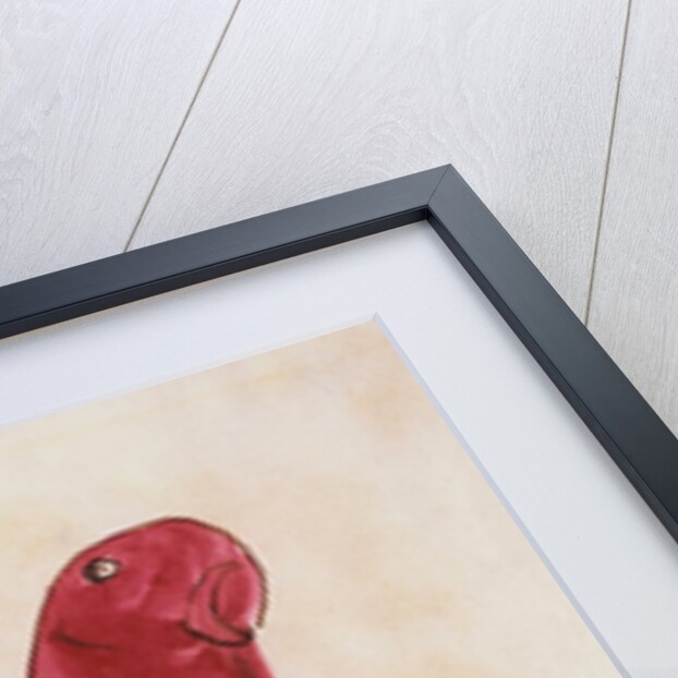 The Crimson Bird by Edward Lear