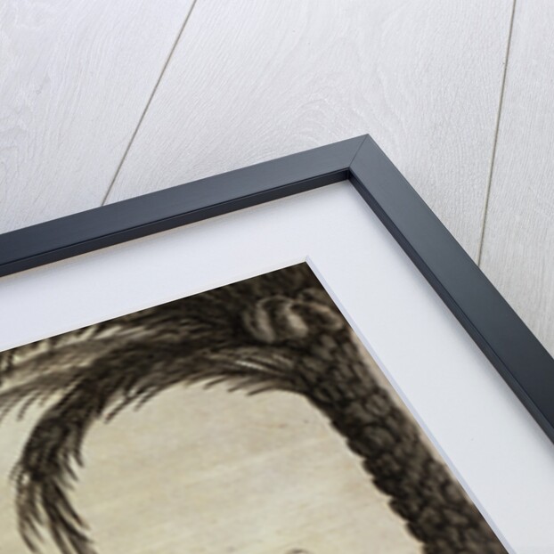 Adahoonzou Cuts off 127 Heads to Complete the Ornament of his Wall by Robert Norris