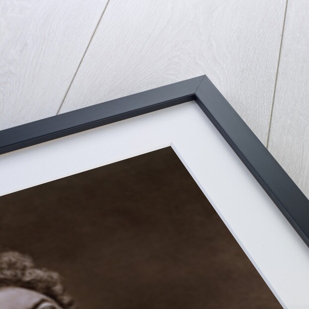 Portrait of Alexandre Dumas from Galerie Contemporaine by Anonymous