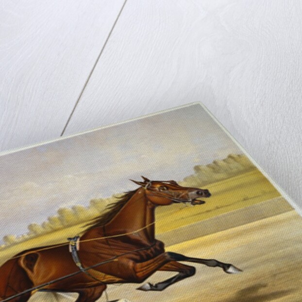Queen of the Turf, 'Maud S', Driven by W.W. Bair Lithograph by Nicholas Winfield Scott Leighton
