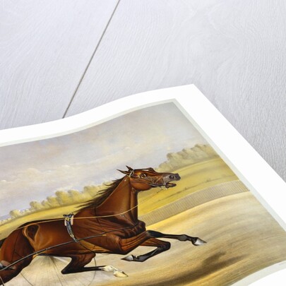 Queen of the Turf, 'Maud S', Driven by W.W. Bair Lithograph by Nicholas Winfield Scott Leighton