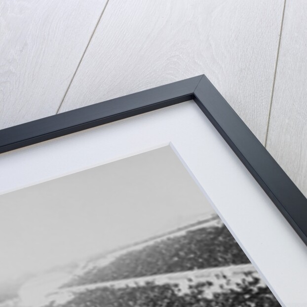 1896 Olympic Games in Athens by Anonymous