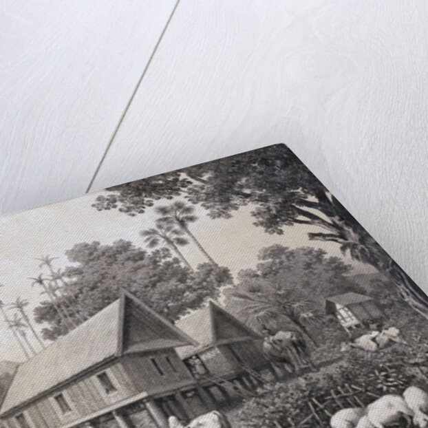 Siamese Laos Village of Traditional Houses in Stilts by Anonymous