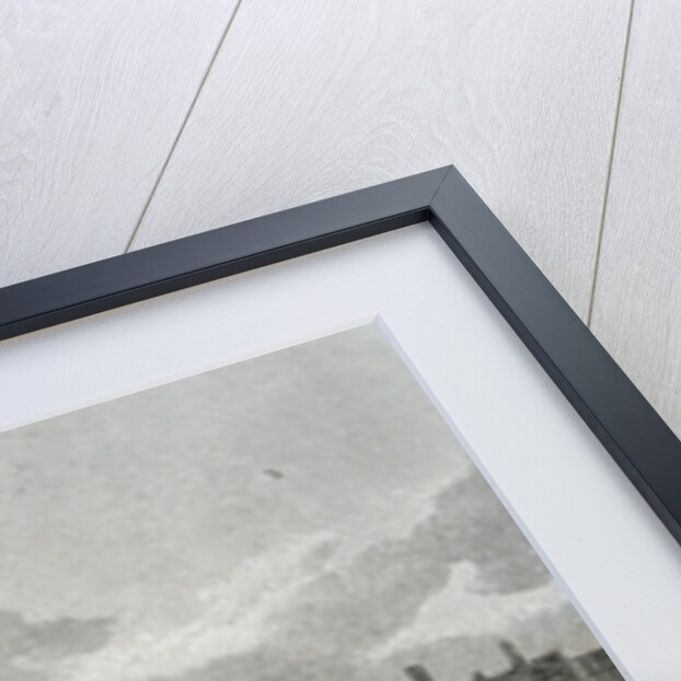 The Globe Theatre Engraving by Anonymous