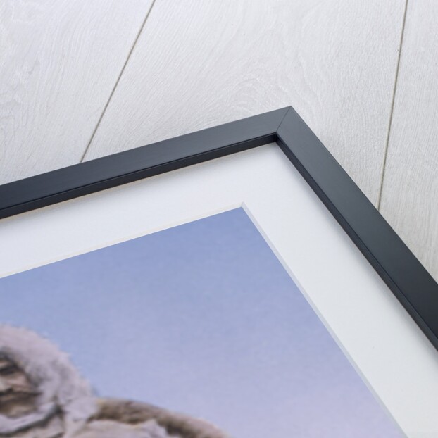 Portrait of Robert E. Peary in His Actual North Pole Costume by Anonymous