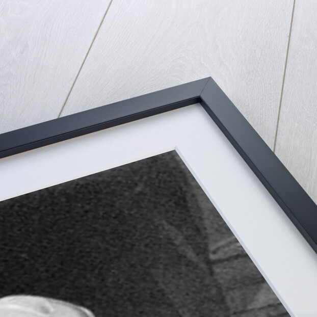 James Madison by David Edwin