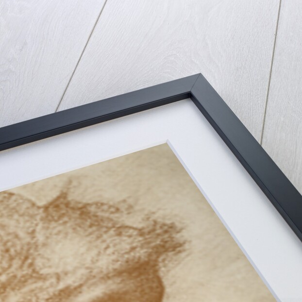 Portrait of a Young Woman by Edward Burne Jones