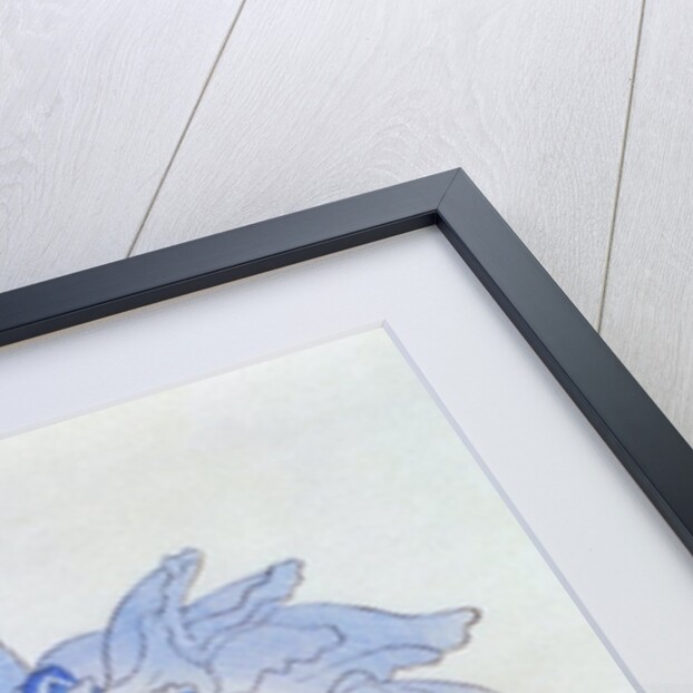 U-Chu Book Illustration of a Light Blue Iris by Anonymous