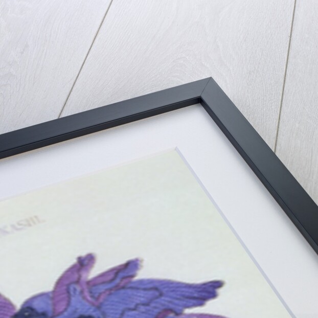 Kamiyo-No Mukashi Book Illustration of a Blue and Purple Iris by Anonymous