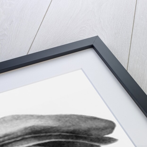 Engraved Portrait of Peter Martir Vermili by Anonymous