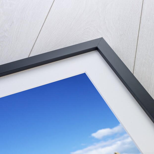 Cross of the Scriptures at Clonmacnoise Monastery by Anonymous