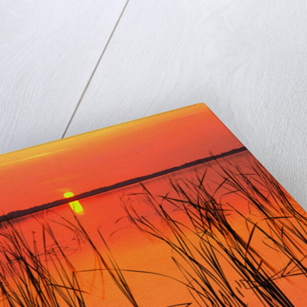Sunset Over Lake Hamilton by Anonymous