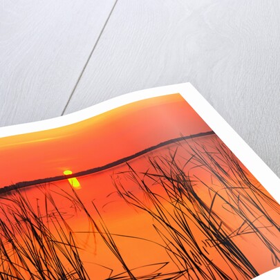 Sunset Over Lake Hamilton by Anonymous