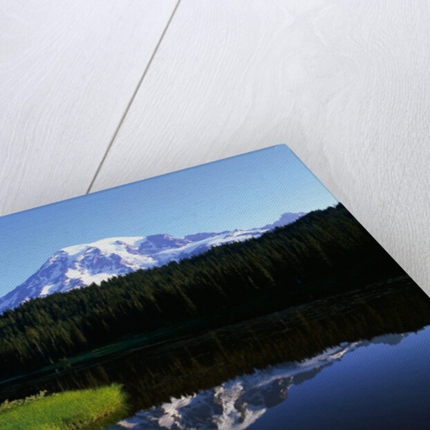 Mt. Rainier by Anonymous