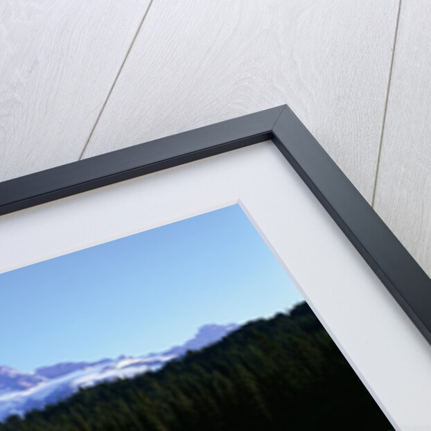 Mt. Rainier by Anonymous