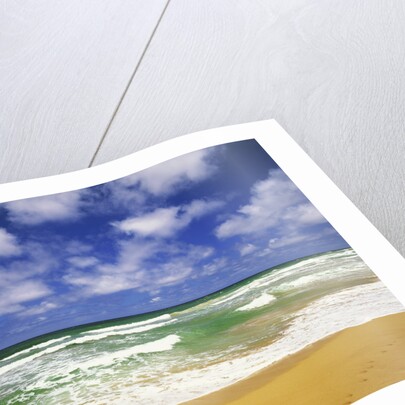 Beach at Hanalei Bay by Anonymous