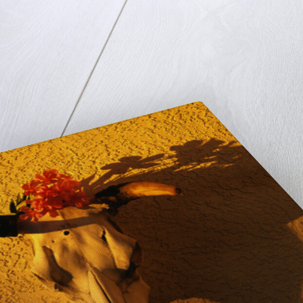 Flowers on a Cattle Skull by Anonymous