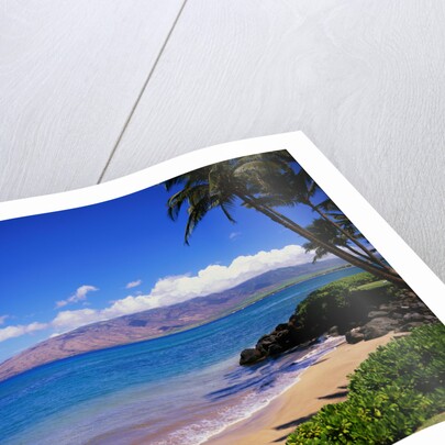 Kihei Beach and West Maui Mountains by Anonymous