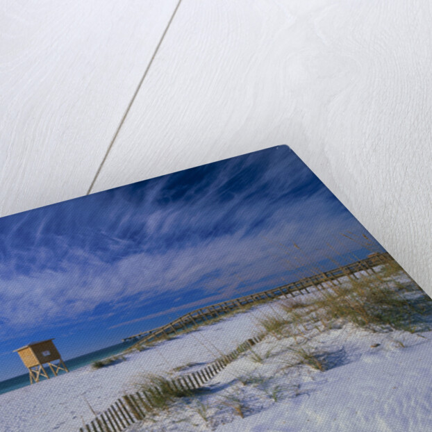 White Sands of Santa Rosa Island by Anonymous