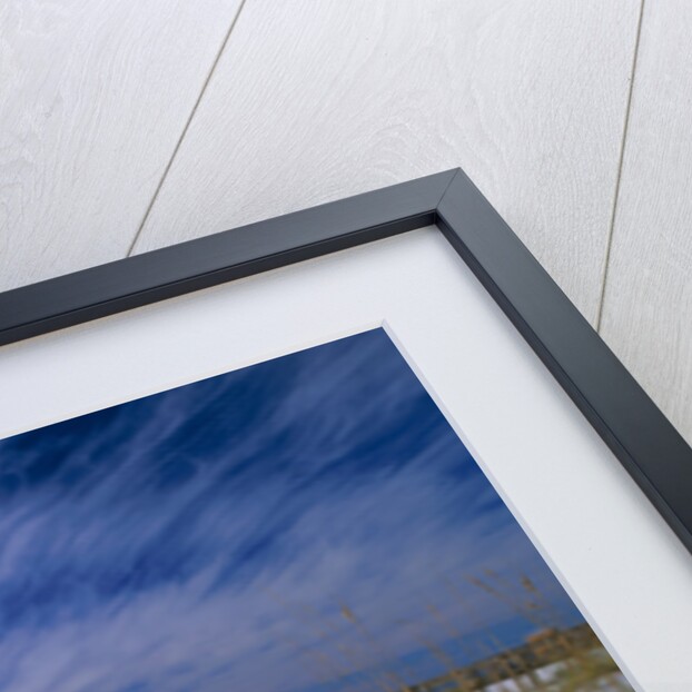 White Sands of Santa Rosa Island by Anonymous