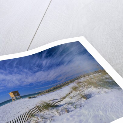 White Sands of Santa Rosa Island by Anonymous