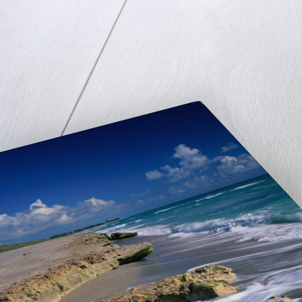 Beach on Jupiter Island by Anonymous