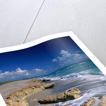 Beach on Jupiter Island by Anonymous