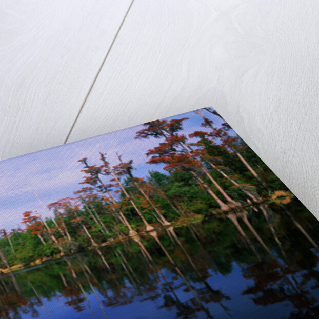 Billy's Lake by Anonymous