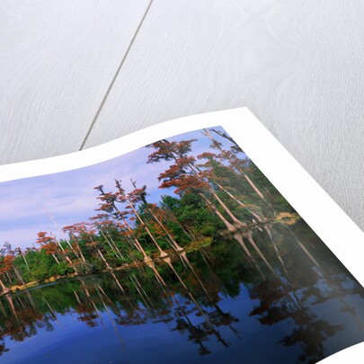 Billy's Lake by Anonymous