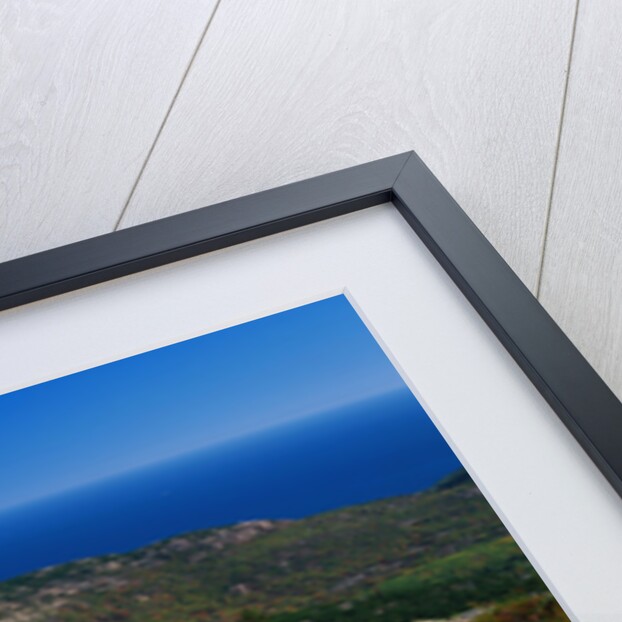 Granite Outcrops on Cadillac Mountain by Anonymous