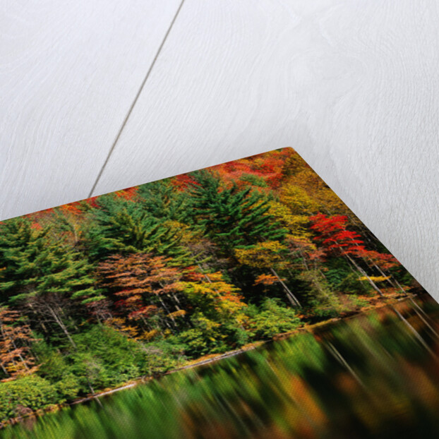 Reflections on Lake Conasauga by Anonymous