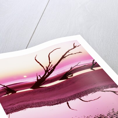 Boneyard Beach on Wassaw Island by Anonymous