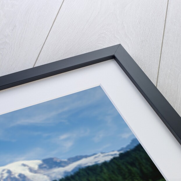 Reflection of Snowcovered Mount Rainier on Reflection Lake by Anonymous