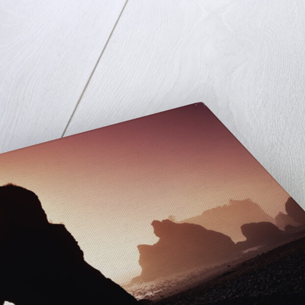 Sea Stacks in Fog Along Ruby Beach by Anonymous