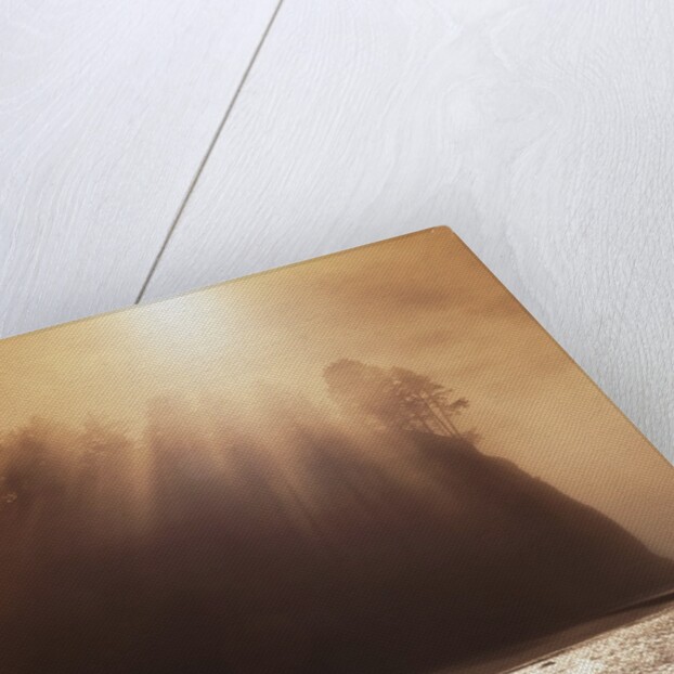 Sun Beams Breaking through Fog over Sea Stack by Anonymous