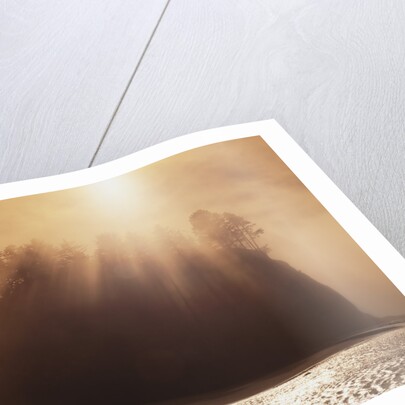 Sun Beams Breaking through Fog over Sea Stack by Anonymous