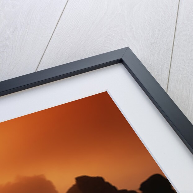 Foggy Sunset at Ruby Beach by Anonymous