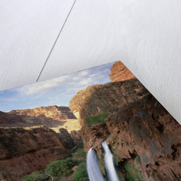 Havasu Falls by Anonymous