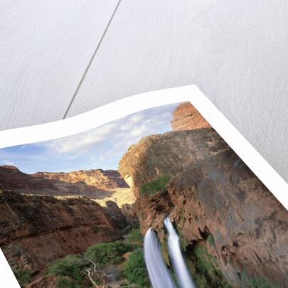 Havasu Falls by Anonymous