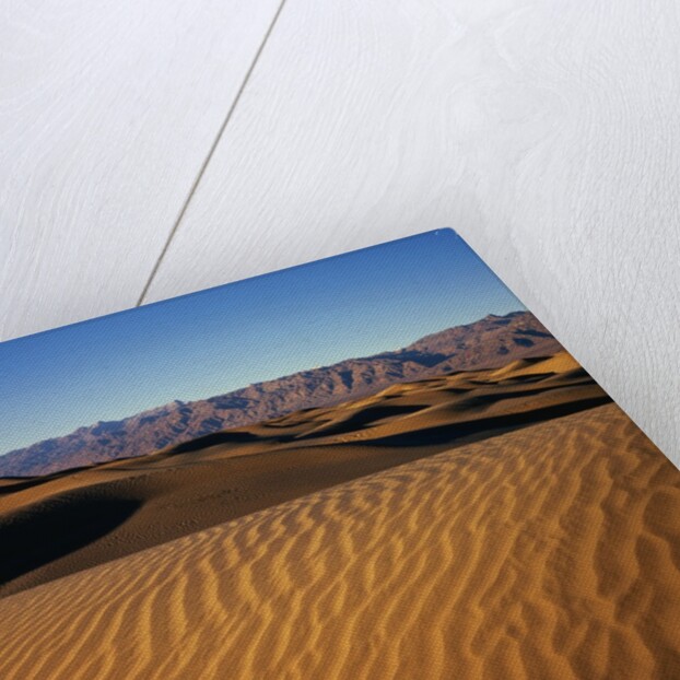 Death Valley Sand Dunes by Anonymous