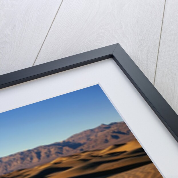 Death Valley Sand Dunes by Anonymous
