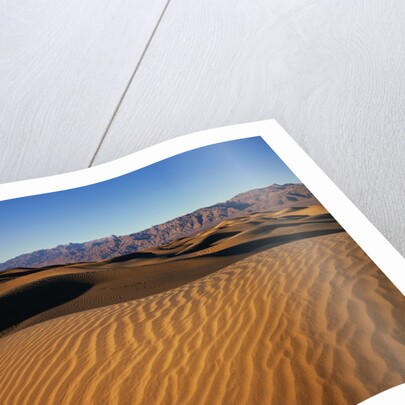 Death Valley Sand Dunes by Anonymous