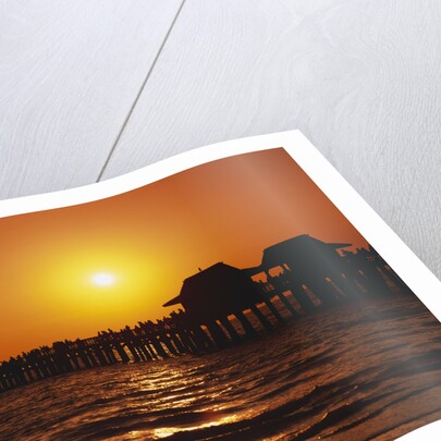 Sun Setting Above Naples Pier by Anonymous