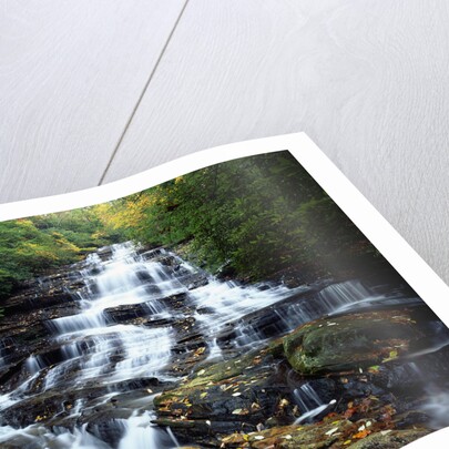 Minnehaha Falls by Anonymous
