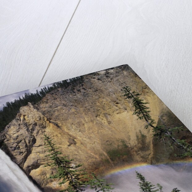 Rainbow at Lower Yellowstone Falls by Anonymous