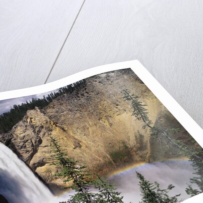 Rainbow at Lower Yellowstone Falls by Anonymous