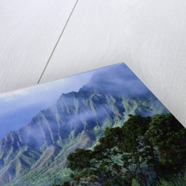 Light Fog in Kalalau Valley by Anonymous